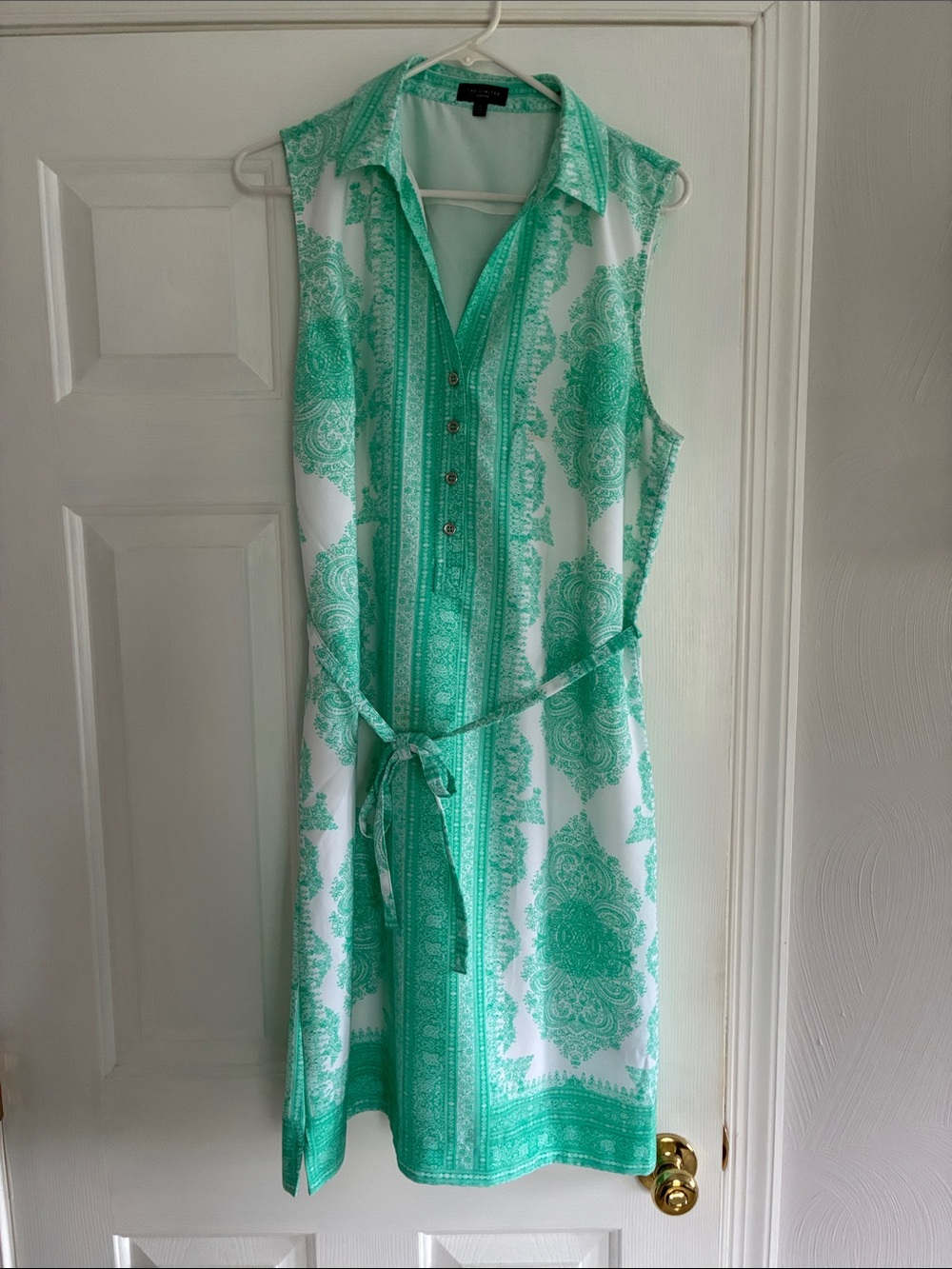 The Limited Sleeveless Shirt Dress in Mint Green and White